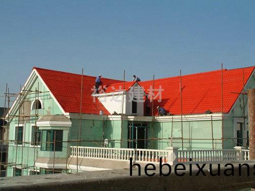 彆墅(shu)屋(wu)麵改造